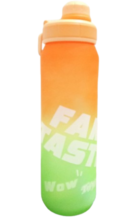 Water bottle 1l 5313