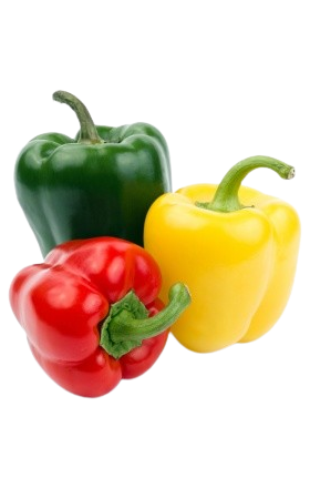 Перец болгарский