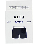 Boys panties "Alex"
