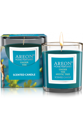 Ароматическая свеча "Ареон" мистик 120г