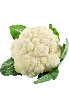 Cauliflower greenhouse 