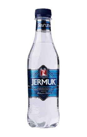 Mineral water "Jermuk" 0.33l  