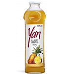 Հյութ «Յան» 0.93լ արքայախնձոր 