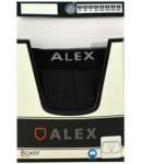 Men's shorts "Alex" gray S