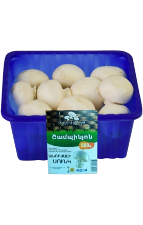 Champignon mushrooms "Selected" 500g