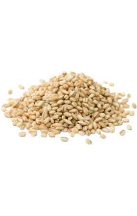 Pearl barley "Anush Lini" kg