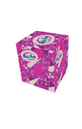 Անձեռոցիկ «Silk Soft» 2*100 հատ
