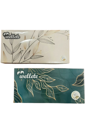 Անձեռոցիկ "Wellete" 2շերտ, 100հատ