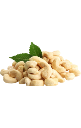 Հնդկական ընկույզ (մեծ)