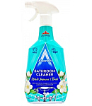 Bathroom cleaner "Astonish" 750ml  	