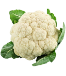Cauliflower greenhouse 