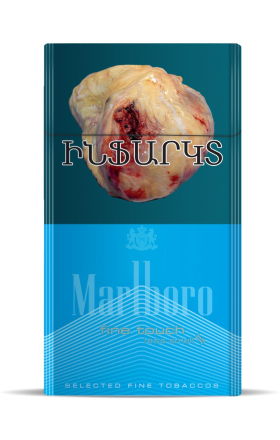 Cigarettes "Marlboro Fine Touch XL"