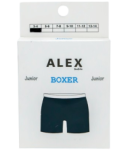Boys' shorts "Alex" blue 3-4