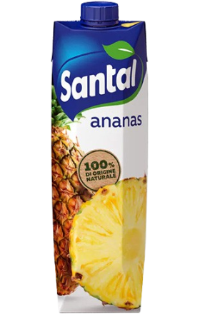 Հյութ «Santal» 1լ արքայախնձոր 