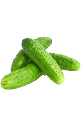 Cucumbers, russian