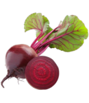 Beet