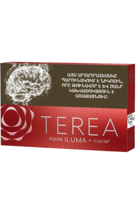 Heat-not-burn sticks "TEREA" SIENNA