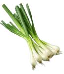 Green onions 