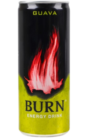 Էներգետիկ ըմպելիք «Բըրն» գուավա 250մլ թ/տ