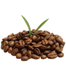 Սուրճ «Ջամբո» 