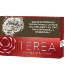 Heat-not-burn sticks "TEREA" SIENNA