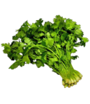 Coriander 