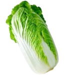 Chinese cabbage