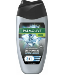 Гель для душа Palmolive д/мужчин 2в1 активный  250мл 