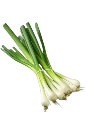 Green onions 