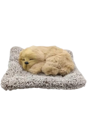 The cat with the kitten lying on the carpet