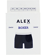 Վարտիք տղաների «Ալեքս»