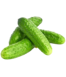 Cucumbers, russian