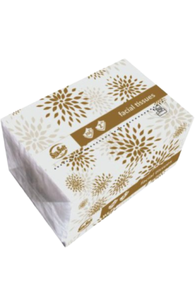 Անձեռոցիկ «Silk Soft» 250 հատ