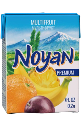 Nectar "Noyan" Premium  Multifruit  200ml