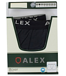 Men's shorts "Alex" gray M