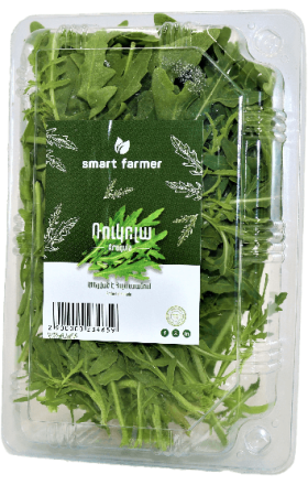 Green Arugula "Smart Farmer"