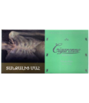 Ծխախոտ «Սիգարոն» Ռոյալ Իքսէլ, անանուխ, սլիմս