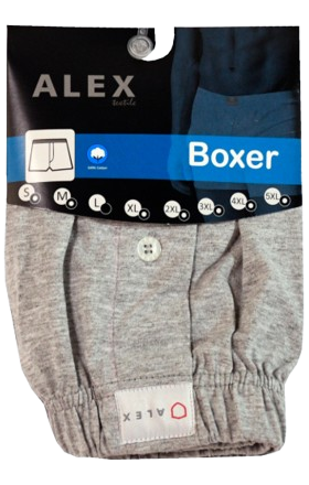 Men's shorts "Alex" gray L