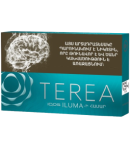 Heat-not-burn sticks "TEREA" TURQUOISE
