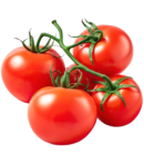 Tomato