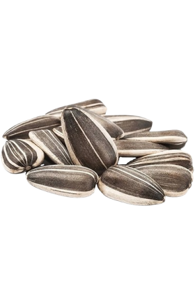 Արևածաղկի սերմեր «Krutoy Oker» գծավոր, աղի կգ