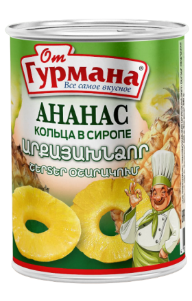 Pineapple slices "Ot Gurmana" 565g