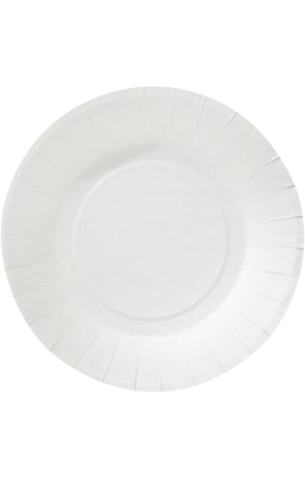 Disposable paper plates "Eco Paper" 6 pcs
