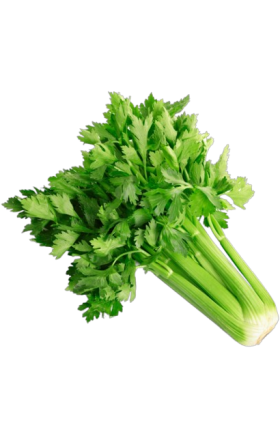 Celery
