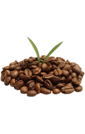 Սուրճ «Ջամբո» 