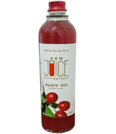 Հյութ Arm Juicec վայրի հոն 0,5լ