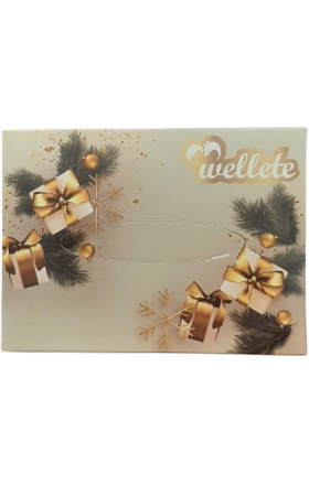Napkins "Wellete" 2 ply, 100 pcs.