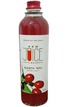 Հյութ Arm Juicec վայրի հոն 0,5լ 