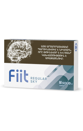 Heated tobacco sticks  Fiit Regular Sky
