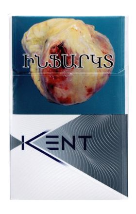 Сигареты "Kent Spark Silver"